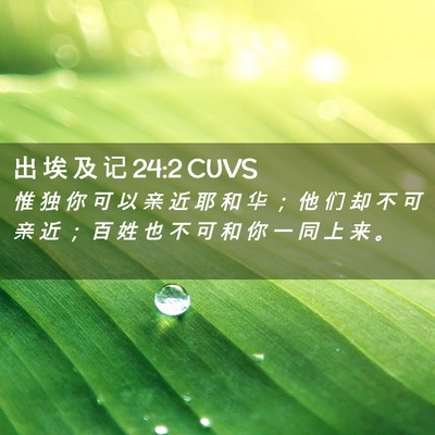 Picture 02 - 出 埃 及 记 24:2 CUVS - 惟 独 你 可 以 亲 近 耶 和 华 ； 他 - Bible Verse Picture