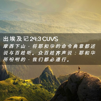 Picture 02 - 出 埃 及 记 24:3 CUVS - 摩 西 下 山 ， 将 耶 和 华 的 命 令 - Bible Verse Picture