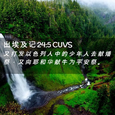 Picture 02 - 出 埃 及 记 24:5 CUVS - 又 打 发 以 色 列 人 中 的 少 年 人 - Bible Verse Picture