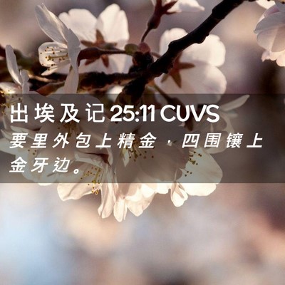 Picture 02 - 出 埃 及 记 25:11 CUVS - 要 里 外 包 上 精 金 ， 四 围 镶 上 - Bible Verse Picture
