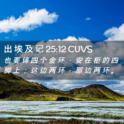 Picture 02 - 出 埃 及 记 25:12 CUVS - 也 要 铸 四 个 金 环 ， 安 在 柜 的 - Bible Verse Picture