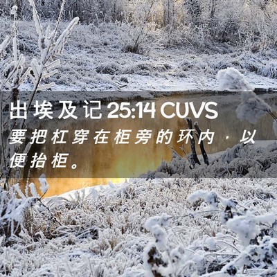 Picture 02 - 出 埃 及 记 25:14 CUVS - 要 把 杠 穿 在 柜 旁 的 环 内 ， 以 - Bible Verse Picture