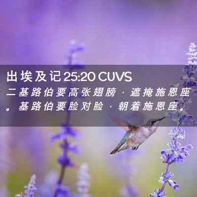 Picture 02 - 出 埃 及 记 25:20 CUVS - 二 基 路 伯 要 高 张 翅 膀 ， 遮 掩 - Bible Verse Picture