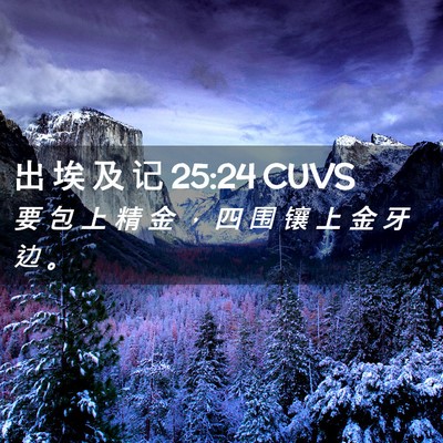 Picture 02 - 出 埃 及 记 25:24 CUVS - 要 包 上 精 金 ， 四 围 镶 上 金 牙 - Bible Verse Picture