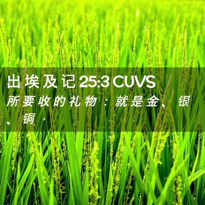 Picture 02 - 出 埃 及 记 25:3 CUVS - 所 要 收 的 礼 物 ： 就 是 金 、 银 - Bible Verse Picture