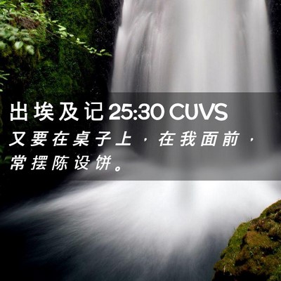 Picture 02 - 出 埃 及 记 25:30 CUVS - 又 要 在 桌 子 上 ， 在 我 面 前 ， - Bible Verse Picture