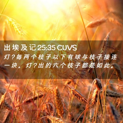 Picture 02 - 出 埃 及 记 25:35 CUVS - 灯 ? 每 两 个 枝 子 以 下 有 球 与 枝 - Bible Verse Picture