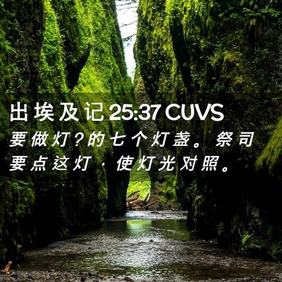 Picture 02 - 出 埃 及 记 25:37 CUVS - 要 做 灯 ? 的 七 个 灯 盏 。 祭 司 要 - Bible Verse Picture