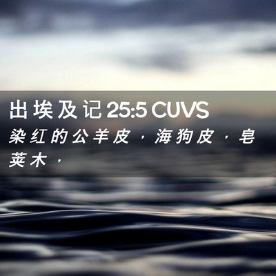 Picture 02 - 出 埃 及 记 25:5 CUVS - 染 红 的 公 羊 皮 ， 海 狗 皮 ， 皂 - Bible Verse Picture
