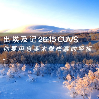 Picture 02 - 出 埃 及 记 26:15 CUVS - 你 要 用 皂 荚 木 做 帐 幕 的 竖 板 - Bible Verse Picture