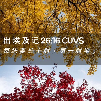 Picture 02 - 出 埃 及 记 26:16 CUVS - 每 块 要 长 十 肘 ， 宽 一 肘 半 - Bible Verse Picture