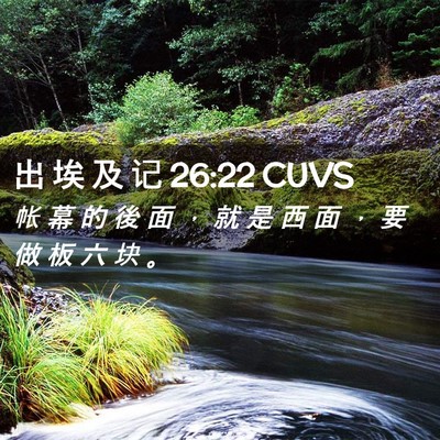 Picture 02 - 出 埃 及 记 26:22 CUVS - 帐 幕 的 後 面 ， 就 是 西 面 ， 要 - Bible Verse Picture