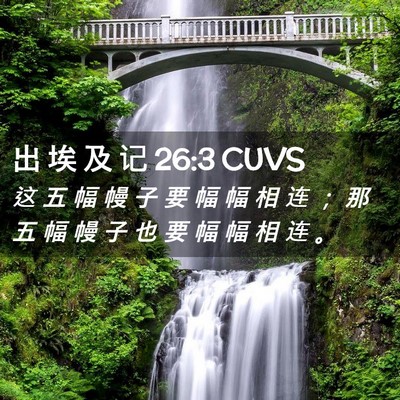 Picture 02 - 出 埃 及 记 26:3 CUVS - 这 五 幅 幔 子 要 幅 幅 相 连 ； 那 - Bible Verse Picture