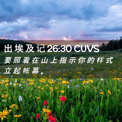Picture 02 - 出 埃 及 记 26:30 CUVS - 要 照 着 在 山 上 指 示 你 的 样 式 - Bible Verse Picture