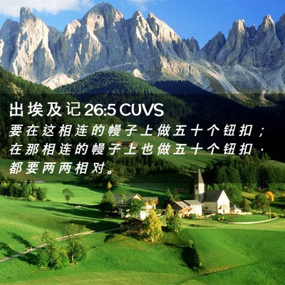 Picture 02 - 出 埃 及 记 26:5 CUVS - 要 在 这 相 连 的 幔 子 上 做 五 十 - Bible Verse Picture