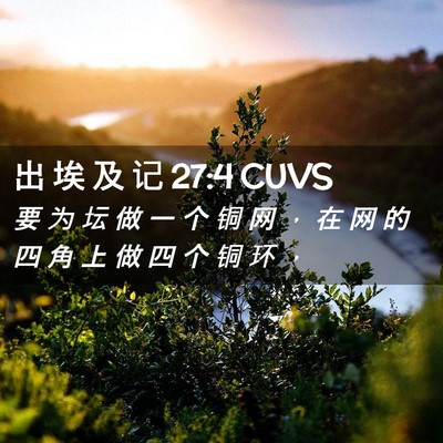 Picture 02 - 出 埃 及 记 27:4 CUVS - 要 为 坛 做 一 个 铜 网 ， 在 网 的 - Bible Verse Picture