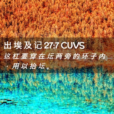 Picture 02 - 出 埃 及 记 27:7 CUVS - 这 杠 要 穿 在 坛 两 旁 的 环 子 内 - Bible Verse Picture