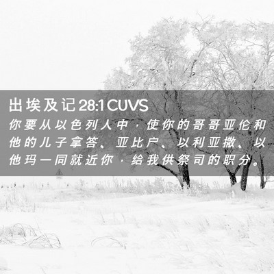 Picture 02 - 出 埃 及 记 28:1 CUVS - 你 要 从 以 色 列 人 中 ， 使 你 的 - Bible Verse Picture