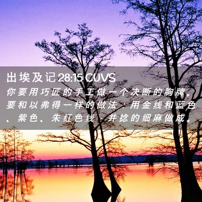 Picture 02 - 出 埃 及 记 28:15 CUVS - 你 要 用 巧 匠 的 手 工 做 一 个 决 - Bible Verse Picture
