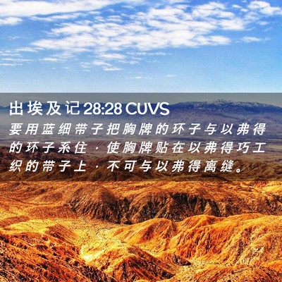 Picture 02 - 出 埃 及 记 28:28 CUVS - 要 用 蓝 细 带 子 把 胸 牌 的 环 子 - Bible Verse Picture