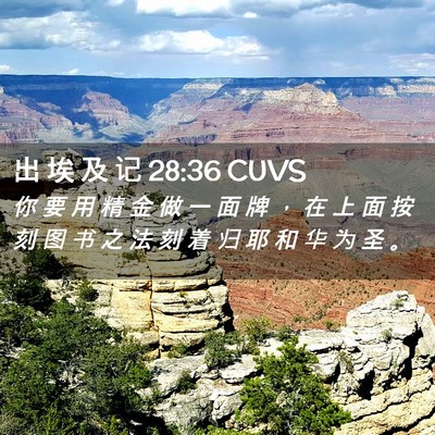 Picture 02 - 出 埃 及 记 28:36 CUVS - 你 要 用 精 金 做 一 面 牌 ， 在 上 - Bible Verse Picture
