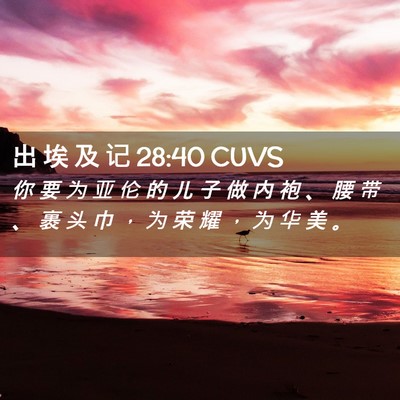 Picture 02 - 出 埃 及 记 28:40 CUVS - 你 要 为 亚 伦 的 儿 子 做 内 袍 、 - Bible Verse Picture