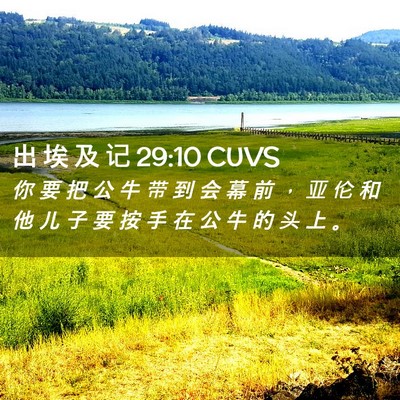 Picture 02 - 出 埃 及 记 29:10 CUVS - 你 要 把 公 牛 带 到 会 幕 前 ， 亚 - Bible Verse Picture