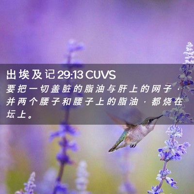 Picture 02 - 出 埃 及 记 29:13 CUVS - 要 把 一 切 盖 脏 的 脂 油 与 肝 上 - Bible Verse Picture