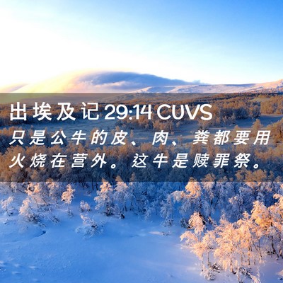 Picture 02 - 出 埃 及 记 29:14 CUVS - 只 是 公 牛 的 皮 、 肉 、 粪 都 要 - Bible Verse Picture