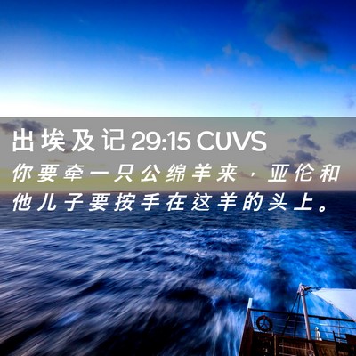 Picture 02 - 出 埃 及 记 29:15 CUVS - 你 要 牵 一 只 公 绵 羊 来 ， 亚 伦 - Bible Verse Picture