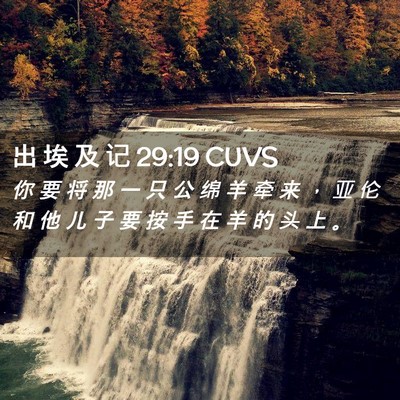 Picture 02 - 出 埃 及 记 29:19 CUVS - 你 要 将 那 一 只 公 绵 羊 牵 来 ， - Bible Verse Picture