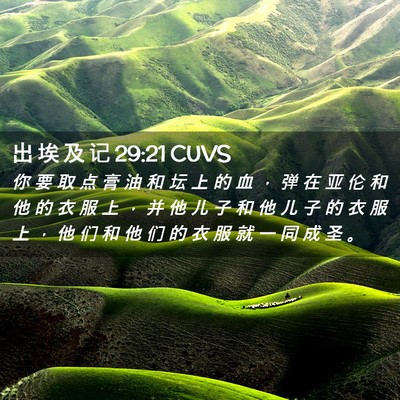 Picture 02 - 出 埃 及 记 29:21 CUVS - 你 要 取 点 膏 油 和 坛 上 的 血 ， - Bible Verse Picture