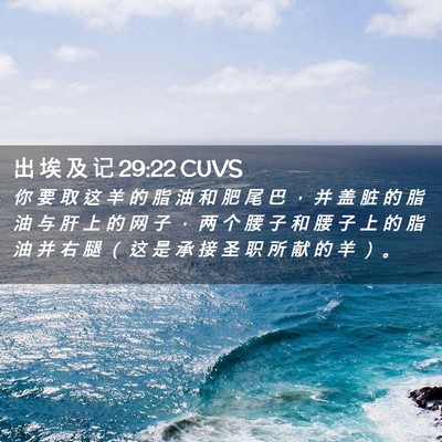 Picture 02 - 出 埃 及 记 29:22 CUVS - 你 要 取 这 羊 的 脂 油 和 肥 尾 巴 - Bible Verse Picture