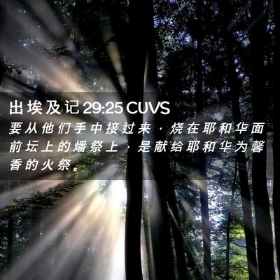 Picture 02 - 出 埃 及 记 29:25 CUVS - 要 从 他 们 手 中 接 过 来 ， 烧 在 - Bible Verse Picture