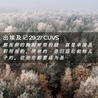 Picture 02 - 出 埃 及 记 29:27 CUVS - 那 摇 祭 的 胸 和 举 祭 的 腿 ， 就 - Bible Verse Picture