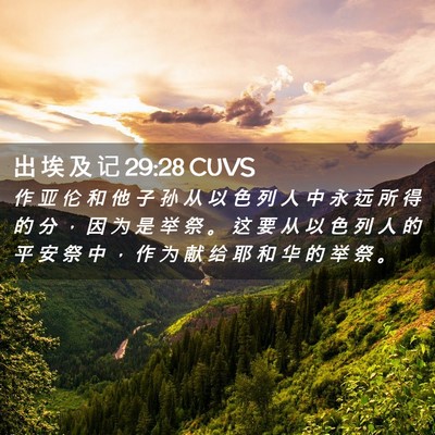 Picture 02 - 出 埃 及 记 29:28 CUVS - 作 亚 伦 和 他 子 孙 从 以 色 列 人 - Bible Verse Picture