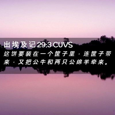 Picture 02 - 出 埃 及 记 29:3 CUVS - 这 饼 要 装 在 一 个 筐 子 里 ， 连 - Bible Verse Picture