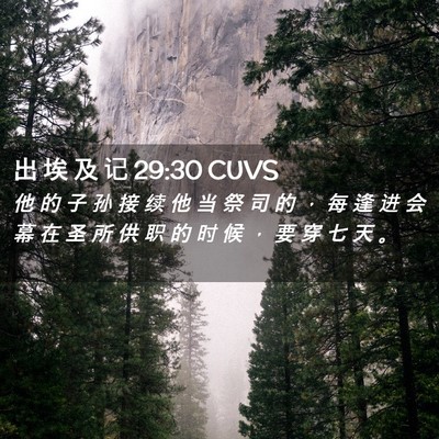 Picture 02 - 出 埃 及 记 29:30 CUVS - 他 的 子 孙 接 续 他 当 祭 司 的 ， - Bible Verse Picture