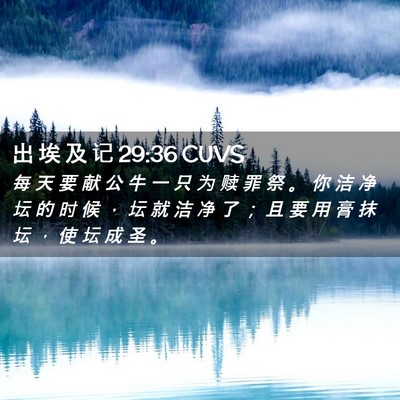 Picture 02 - 出 埃 及 记 29:36 CUVS - 每 天 要 献 公 牛 一 只 为 赎 罪 祭 - Bible Verse Picture