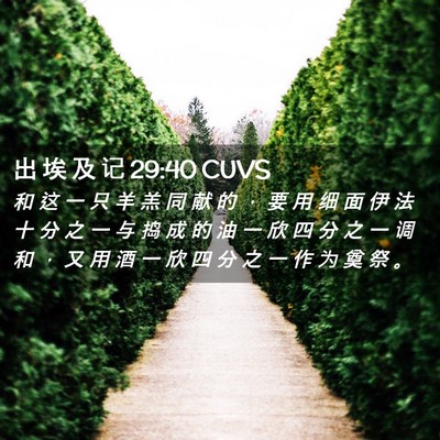 Picture 02 - 出 埃 及 记 29:40 CUVS - 和 这 一 只 羊 羔 同 献 的 ， 要 用 - Bible Verse Picture