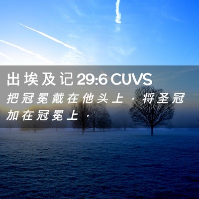 Picture 02 - 出 埃 及 记 29:6 CUVS - 把 冠 冕 戴 在 他 头 上 ， 将 圣 冠 - Bible Verse Picture