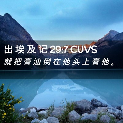 Picture 02 - 出 埃 及 记 29:7 CUVS - 就 把 膏 油 倒 在 他 头 上 膏 他 - Bible Verse Picture