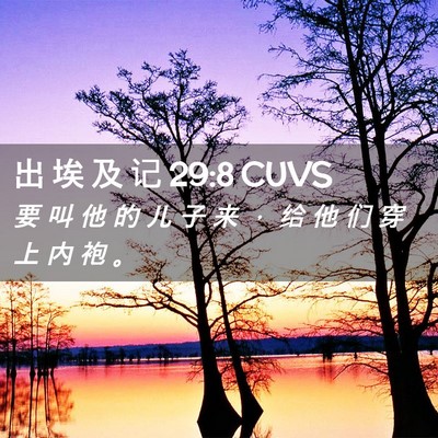 Picture 02 - 出 埃 及 记 29:8 CUVS - 要 叫 他 的 儿 子 来 ， 给 他 们 穿 - Bible Verse Picture