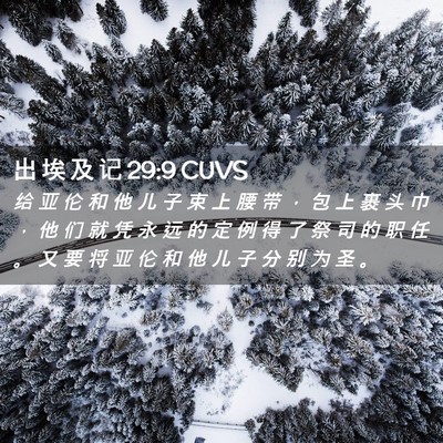 Picture 02 - 出 埃 及 记 29:9 CUVS - 给 亚 伦 和 他 儿 子 束 上 腰 带 ， - Bible Verse Picture