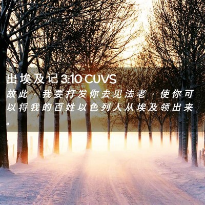 Picture 02 - 出 埃 及 记 3:10 CUVS - 故 此 ， 我 要 打 发 你 去 见 法 老 - Bible Verse Picture