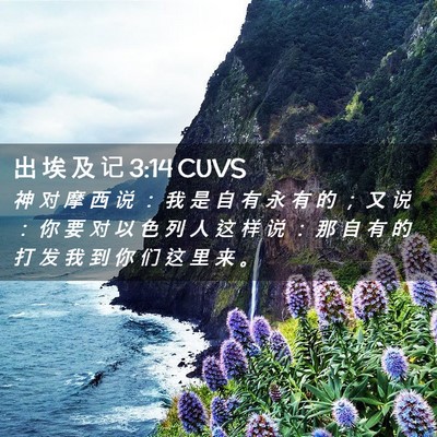Picture 02 - 出 埃 及 记 3:14 CUVS - 神 对 摩 西 说 ： 我 是 自 有 永 有 - Bible Verse Picture