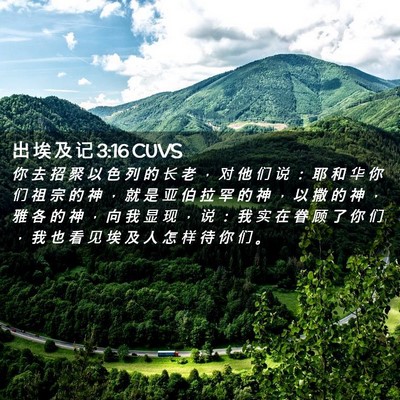 Picture 02 - 出 埃 及 记 3:16 CUVS - 你 去 招 聚 以 色 列 的 长 老 ， 对 - Bible Verse Picture