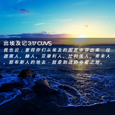 Picture 02 - 出 埃 及 记 3:17 CUVS - 我 也 说 ： 要 将 你 们 从 埃 及 的 - Bible Verse Picture