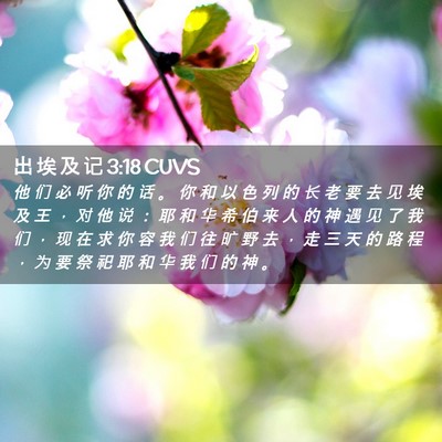 Picture 02 - 出 埃 及 记 3:18 CUVS - 他 们 必 听 你 的 话 。 你 和 以 色 - Bible Verse Picture