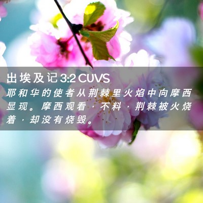 Picture 02 - 出 埃 及 记 3:2 CUVS - 耶 和 华 的 使 者 从 荆 棘 里 火 焰 - Bible Verse Picture